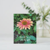 Foto van Roze Zinnia Flower Hartelijk dank met gro Briefkaart (Staand voorkant)