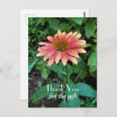 Foto van Roze Zinnia Flower Hartelijk dank met gro Briefkaart (Voorkant / Achterkant)