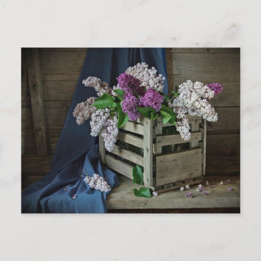 Foto van Rustic Paars en White Lilacs Briefkaart (Voorkant)