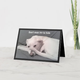 Foto van Sad Depressed Dog 40th Birthday Grey Kaart