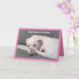 Foto van Sad Dog Hiding Behind Tail 40th Birthday Kaart