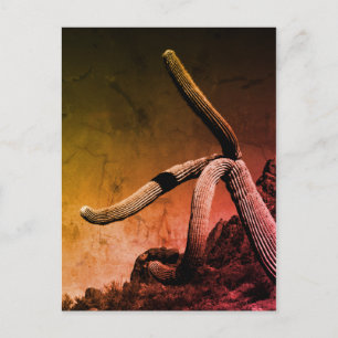 Foto van Saguaro Cactus Fine Art Briefkaart