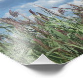 Foto van Salt Water Marsh Afdruk (Hoek)
