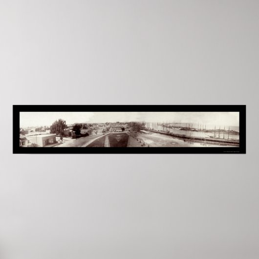 Foto van San Pedro Harbour 1904 Poster (Voorkant)