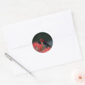 Foto van Scarlet Honeyater Ronde Sticker (Envelop)