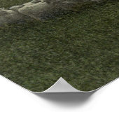 foto van schapengrazing 1918 poster (Hoek)