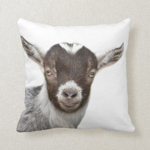 Foto van schattig kindermeisje van geitenvlees kussen