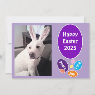 Foto van Schattige Dog Dragen Bunny Ears Paaseiere Feestdagenkaart