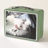 Foto van Schattige Dog With Best Friend Green (Achterkant)