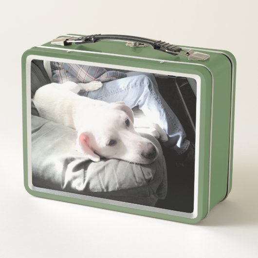 Foto van Schattige Dog With Best Friend Green (Achterkant)