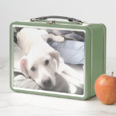 Foto van Schattige Dog With Best Friend Green (In situ)