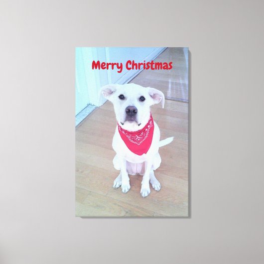Foto van Schattige Dog with Funny Ears Red Christm Canvas Afdruk (Voorkant)