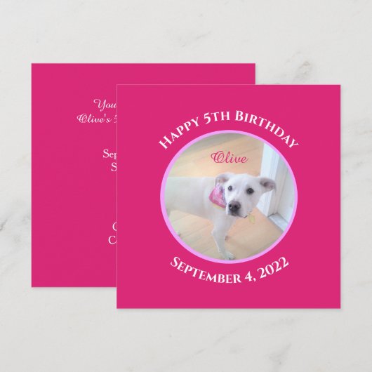 Foto van Schattige Puppy Dog Wearing Hot Pink Scar Kaart (Voorkant / Achterkant)