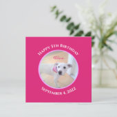 Foto van Schattige Puppy Dog Wearing Hot Pink Scar Kaart (Staand voorkant)