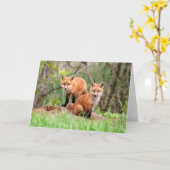 Foto van schattige rode vossenkits kaart (Gele Bloem)