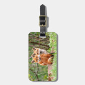 Foto van schattige rode vosskits die samen zitten bagagelabel (Voorkant verticaal)