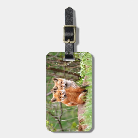 Foto van schattige rode vosskits die samen zitten bagagelabel (Voorkant verticaal)