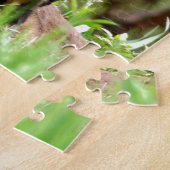 Foto van schattige rode vosskits die samen zitten legpuzzel (Zijkant)