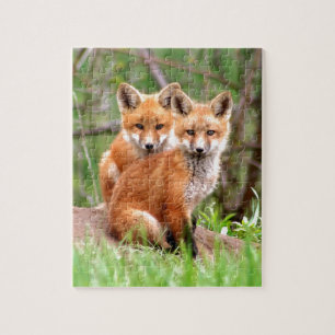 Foto van schattige rode vosskits die samen zitten legpuzzel