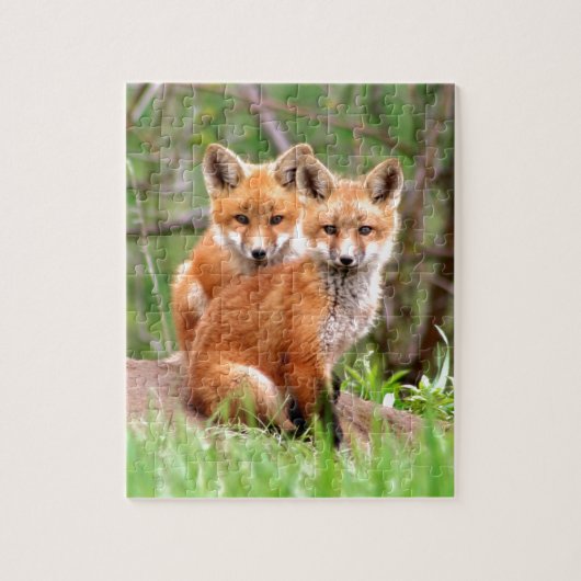 Foto van schattige rode vosskits die samen zitten legpuzzel (Verticaal)