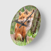 Foto van schattige rode vosskits die samen zitten ronde klok (Hoek)