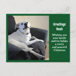 Foto van Schattige Talking Dog Green Christmas Briefkaart
