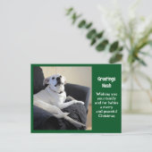 Foto van Schattige Talking Dog Green Christmas Briefkaart (Staand voorkant)