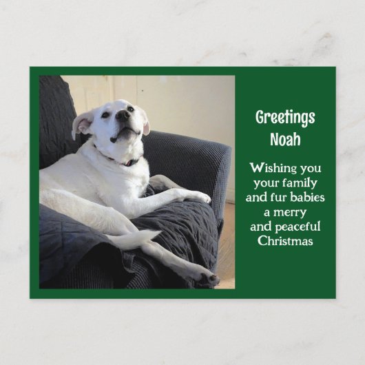 Foto van Schattige Talking Dog Green Christmas Briefkaart (Voorkant)