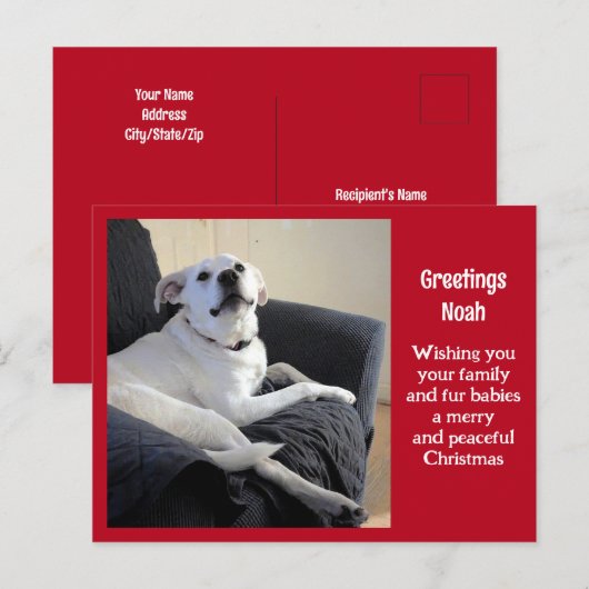 Foto van Schattige Talking Dog Red Christmas Briefkaart (Voorkant / Achterkant)