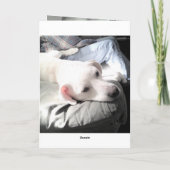 Foto van Schattigee witte puppy met papa Funny Kaart (Achterkant)