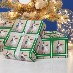 Foto van Schattigee Witte Rendier Puppy Dog Green Cadeaupapier
