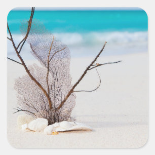 Foto van schelpen op een strand vierkante sticker