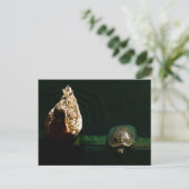 Foto van schildpad en duck briefkaart (Staand voorkant)