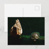 Foto van schildpad en duck briefkaart (Voorkant / Achterkant)