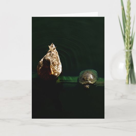 Foto van schildpad en duck kaart (Voorkant)