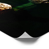 Foto van schildpad en duck poster (Hoek)