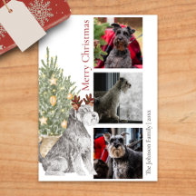 Foto van Schnauzer en kerstboom