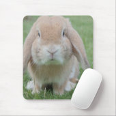 foto van serieuze bunny muismat (Met muis)