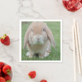 foto van serieuze bunny servet (Insitu)