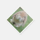 foto van serieuze bunny servet (Hoek)