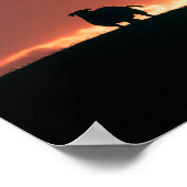 Foto van Sheep Sunset Natuur Poster (Hoek)