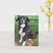 Foto van shter dog kaart (Gele Bloem)