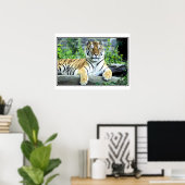 Foto van Siberian tijger Poster (Thuiskantoor)