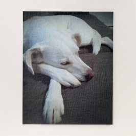 Foto van Slapen Witte Hond met Leuke Poot Legpuzzel