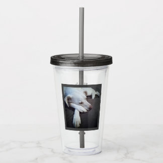 Foto van Sleeping Dog Speedy Recovery Get Well Acryl Drinkbeker