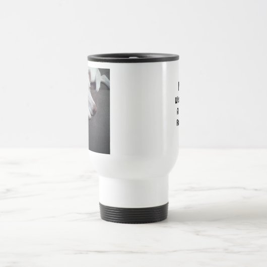 Foto van Sleeping Dog Speedy Recovery Get Well Reisbeker (Center)