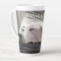 Foto van Sleeping White Labrador Mix Puppy Dog