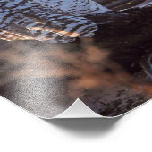 Foto van Snowy Owls Foto Afdruk (Hoek)