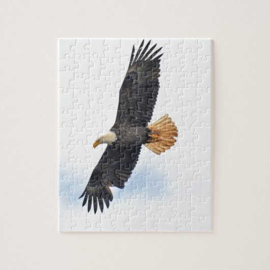 Foto van Soaring Bald Eagle Wildife Legpuzzel (Verticaal)