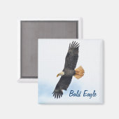 Foto van Soaring Bald Eagle Wildife Magneet (Voorkant / Achterkant)